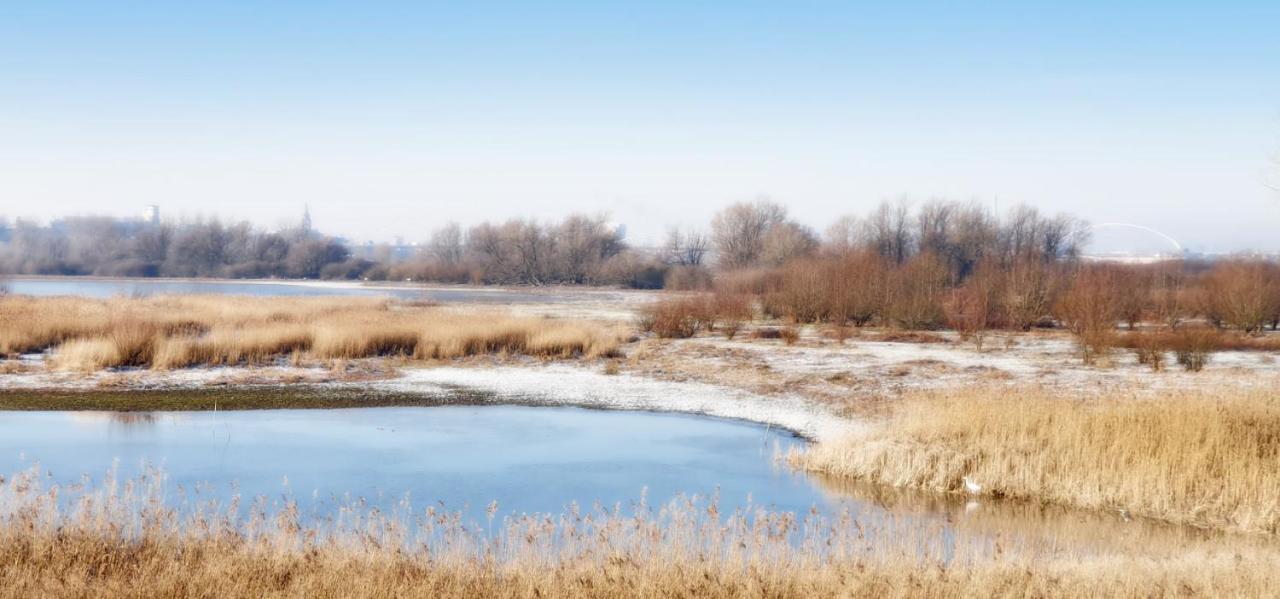 Gezinskamer Van Waard Van Kekerdom Экстерьер фото